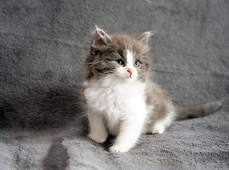 Qualito am 28.05.2025